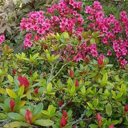 Paisible à Moulins: Charme Ancien, Jardin Clos, Centre Accessible - Fr-1-489-469 Casa vacanze Moulins (Allier)